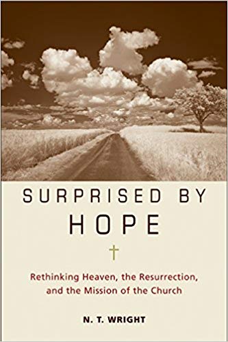 N. T. Wright – Surprised by Hope Audiobook