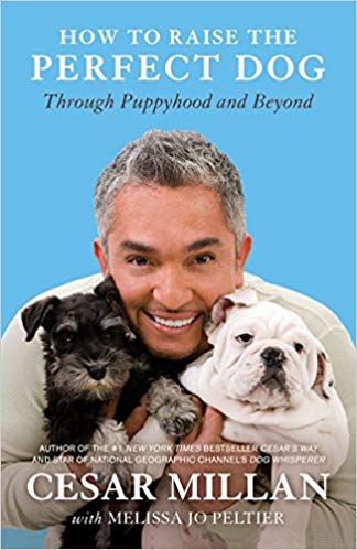 Cesar Millan – How to Raise the Perfect Dog Audiobook